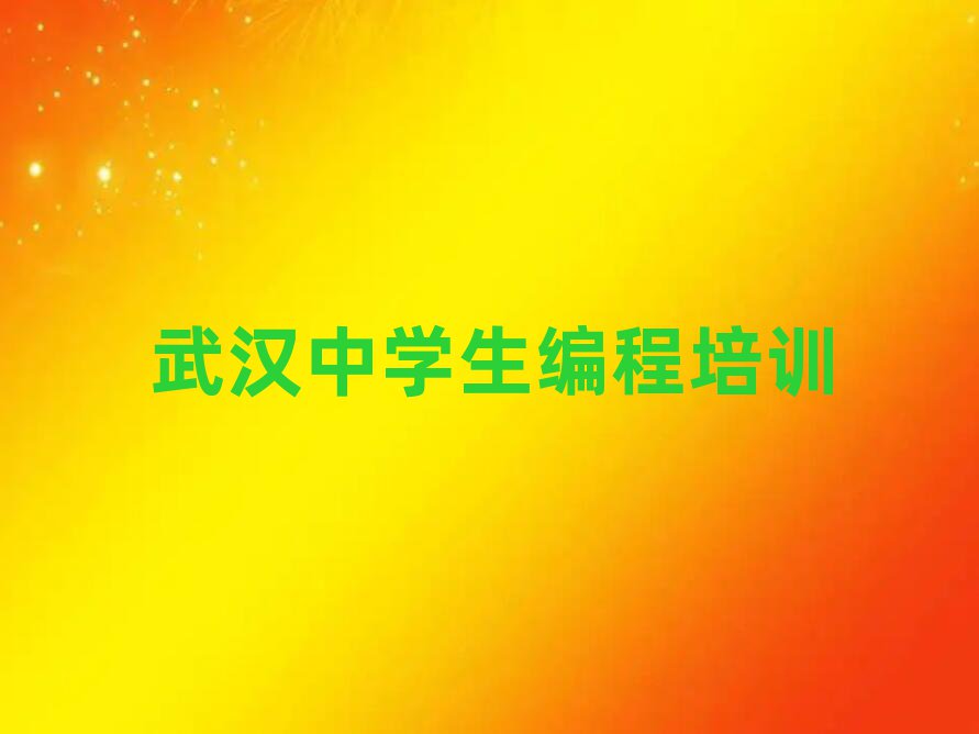 中學(xué)生編程
