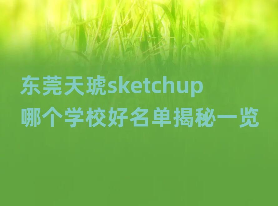 |ݸsketchupĂ(g)W(xu)Уνһ[