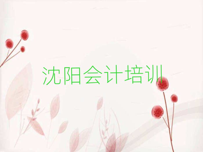 2024年沈陽(yáng)鐵西區(qū)會(huì)計(jì)多少錢(qián)培訓(xùn)會(huì)計(jì)