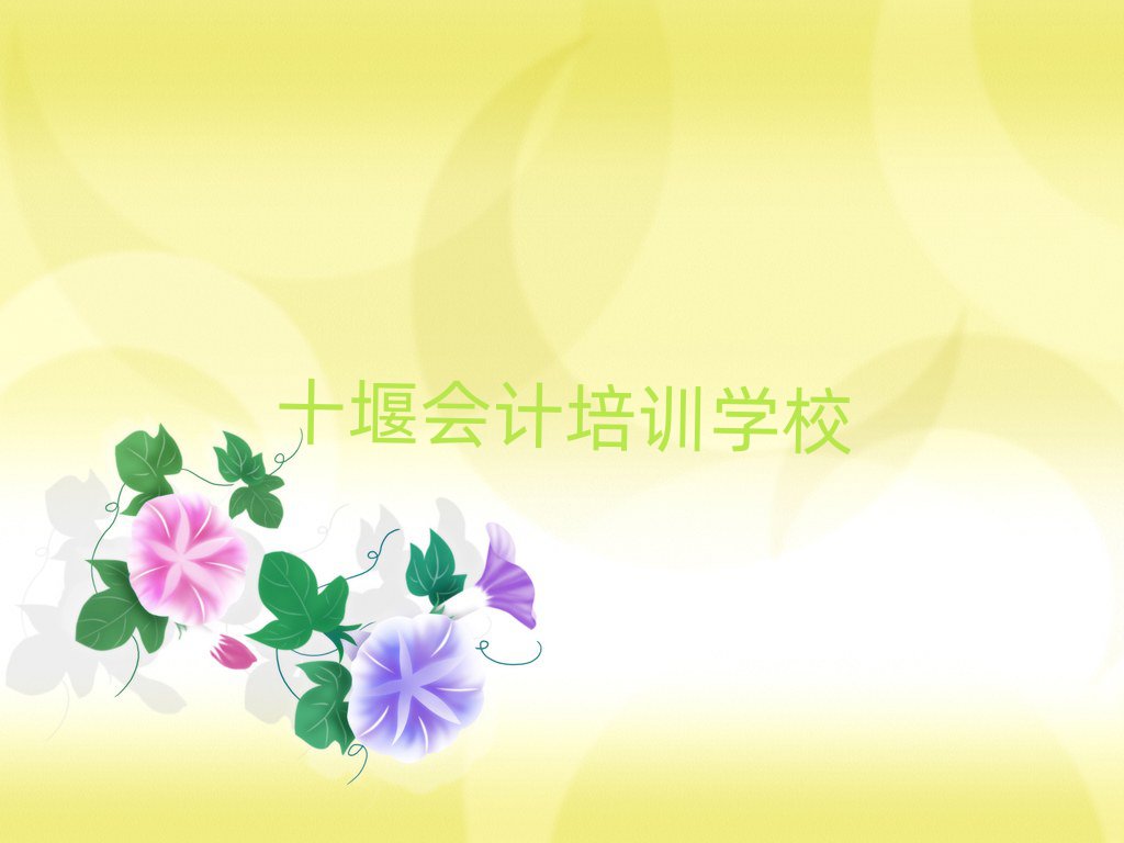 2024年十堰會(huì)計(jì)培訓(xùn)學(xué)校哪家強(qiáng)推薦一覽