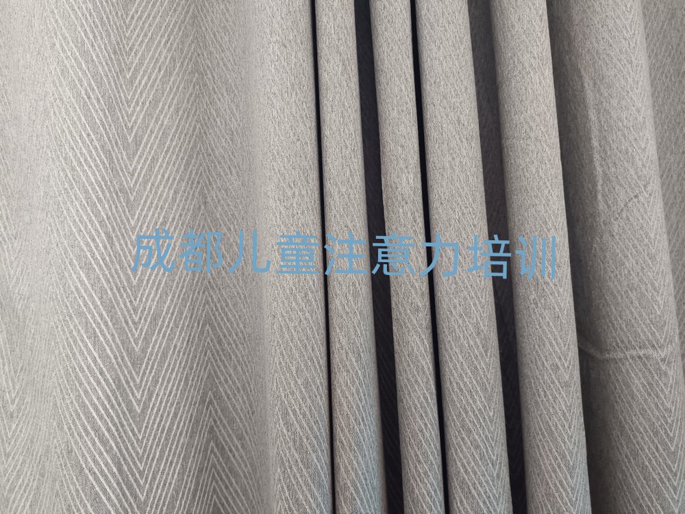 成都孩子記憶力培訓(xùn)學(xué)校貴嗎