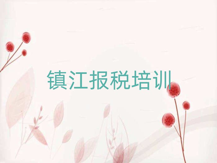 2024年鎮(zhèn)江潤(rùn)州區(qū)財(cái)稅環(huán)境好的培訓(xùn)班有哪些名單更新匯總