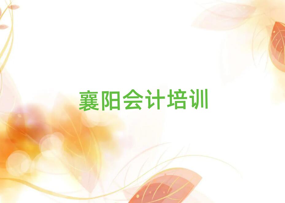 襄陽樊城區(qū)網(wǎng)上會(huì)計(jì)課程推薦一覽