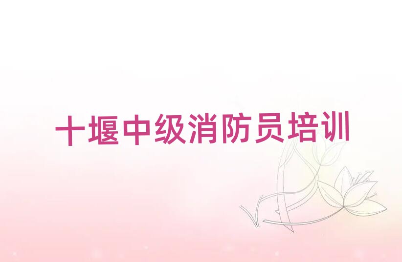 ʮ߃(yu)·м(j)TW(wng)j(lu)̌W(xu)ڸ