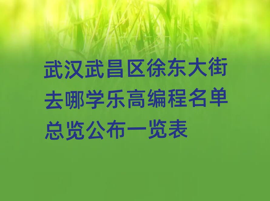 武漢武昌區(qū)徐東大街去哪學(xué)樂高編程名單總覽公布一覽表