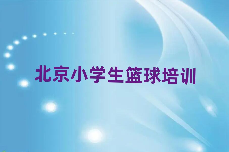 北京東城區(qū)小學生籃球