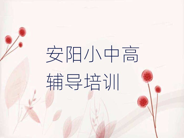 2025年安陽哪里學小升初好排名公布