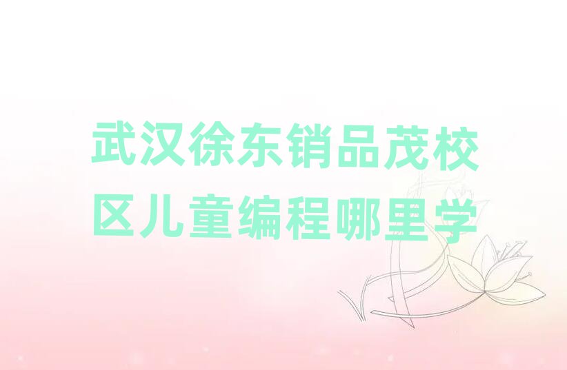武漢徐東銷品茂校區(qū)兒童編程哪里學(xué)