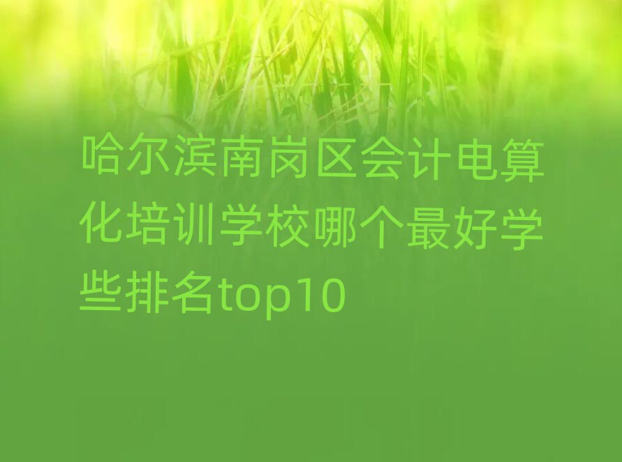 哈爾濱南崗區(qū)會(huì)計(jì)電算化培訓(xùn)學(xué)校哪個(gè)最好學(xué)些排名top10