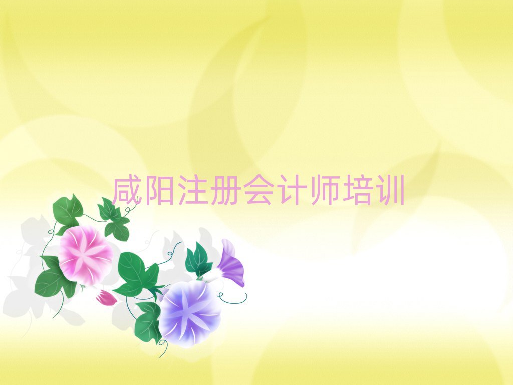 2025年咸陽(yáng)底張街道培訓(xùn)注冊(cè)會(huì)計(jì)師需要多少錢一次