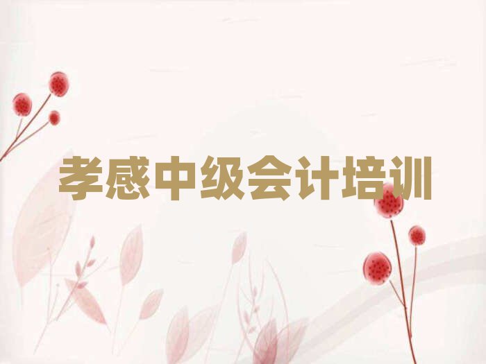 2025年孝感孝感開發(fā)區(qū)槐蔭中級會計培訓(xùn)多少學(xué)費