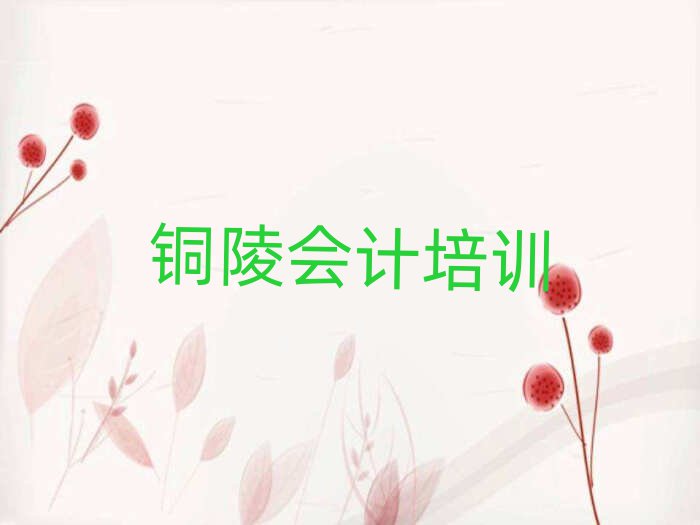 1月銅陵郊區(qū)會(huì)計(jì)培訓(xùn)一場(chǎng)大概多少錢(qián)