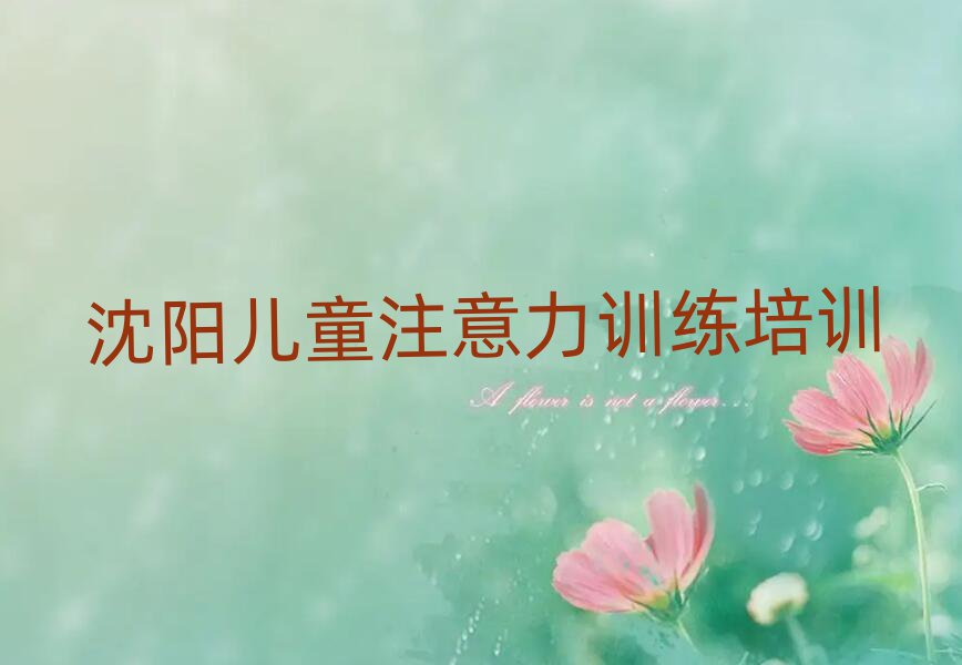 沈陽兒童注意力訓(xùn)練培訓(xùn)班排名