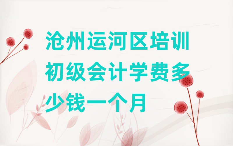 滄州運河區(qū)培訓初級會計學費多少錢一個月