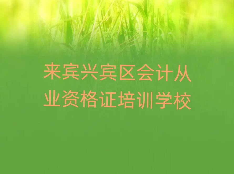 來賓興賓區(qū)在哪里可以學(xué)會計從業(yè)資格證排名公布
