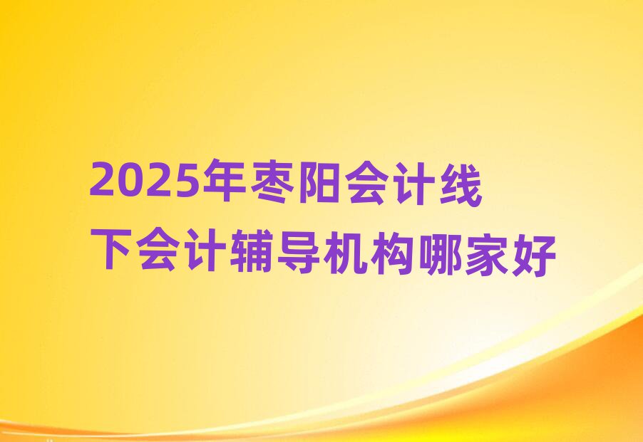 2025年棗陽(yáng)會(huì)計(jì)線下會(huì)計(jì)輔導(dǎo)機(jī)構(gòu)哪家好