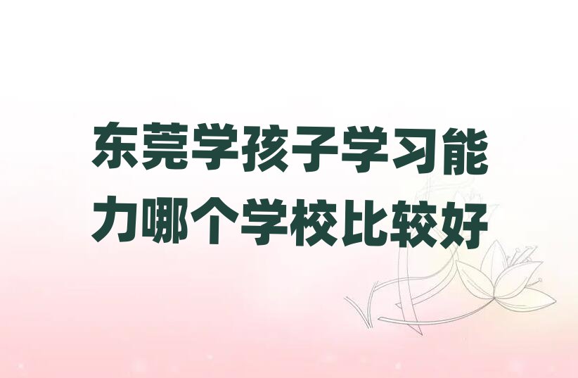 東莞學(xué)孩子學(xué)習(xí)能力哪個學(xué)校比較好