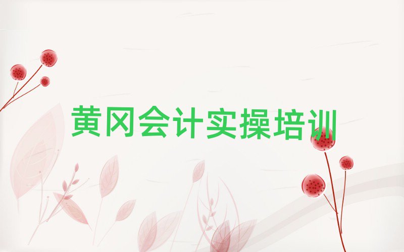 黃岡學(xué)會(huì)計(jì)實(shí)操上什么學(xué)校前十名
