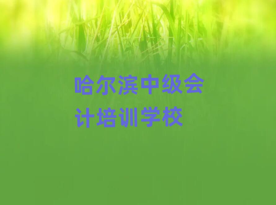 哈爾濱呼蘭區(qū)中級(jí)會(huì)計(jì)熱門培訓(xùn)機(jī)構(gòu)排名一覽表