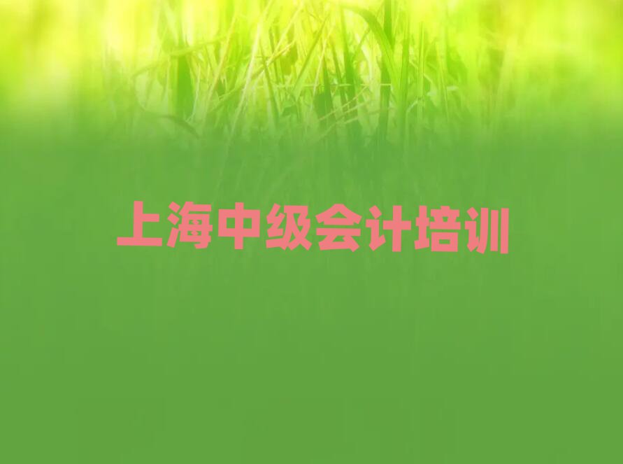 2025年上海黃浦區(qū)中級會(huì)計(jì)培訓(xùn)學(xué)校哪個(gè)最好學(xué)些實(shí)力排名名單