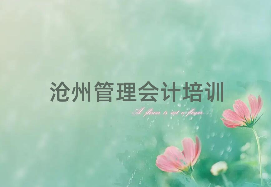 滄州新華區(qū)學管理會計好的學校精選名單排行榜匯總
