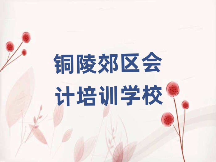 銅陵郊區(qū)會(huì)計(jì)培訓(xùn)大概多久
