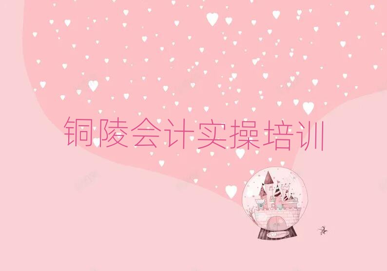 銅陵郊區(qū)會計(jì)實(shí)操哪里有培訓(xùn)會計(jì)實(shí)操