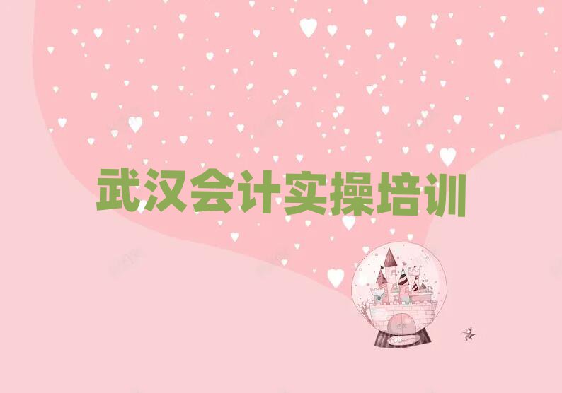 2025年目前比較好的武漢會(huì)計(jì)實(shí)操培訓(xùn)機(jī)構(gòu)