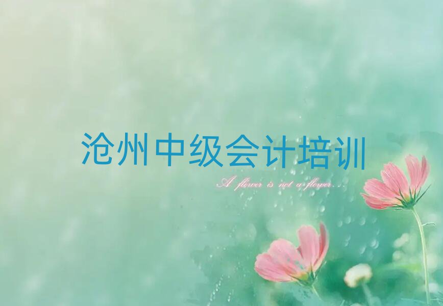 4月滄州小趙莊鄉(xiāng)中級(jí)會(huì)計(jì)班
