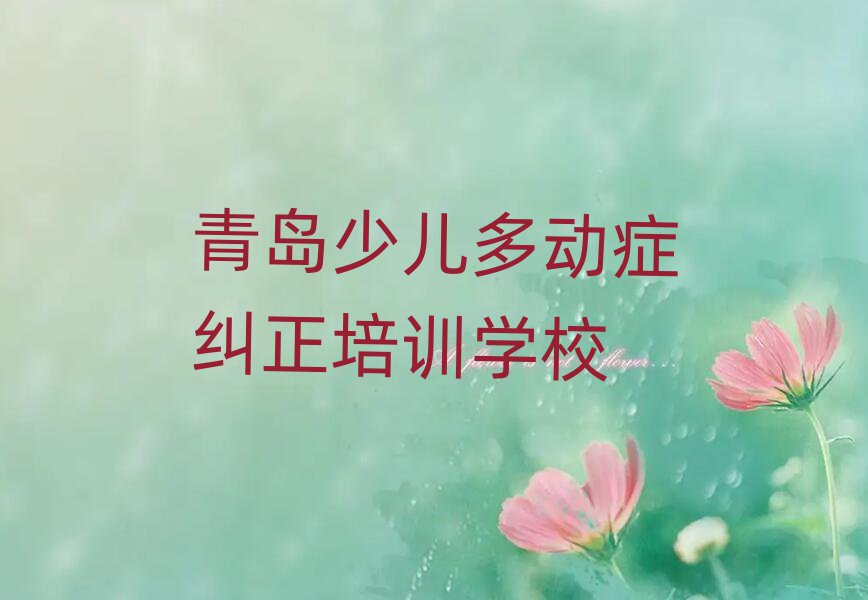 2025年青島市北區(qū)少兒多動癥糾正培訓(xùn)班好貴