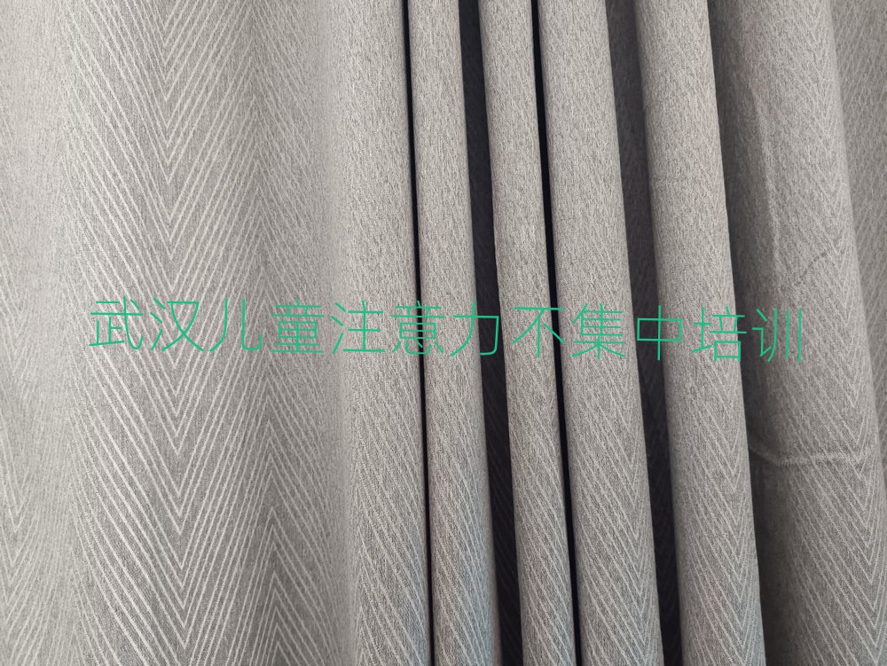 2025年武漢新洲區(qū)零基礎(chǔ)學(xué)兒童注意力不集中好學(xué)嗎
