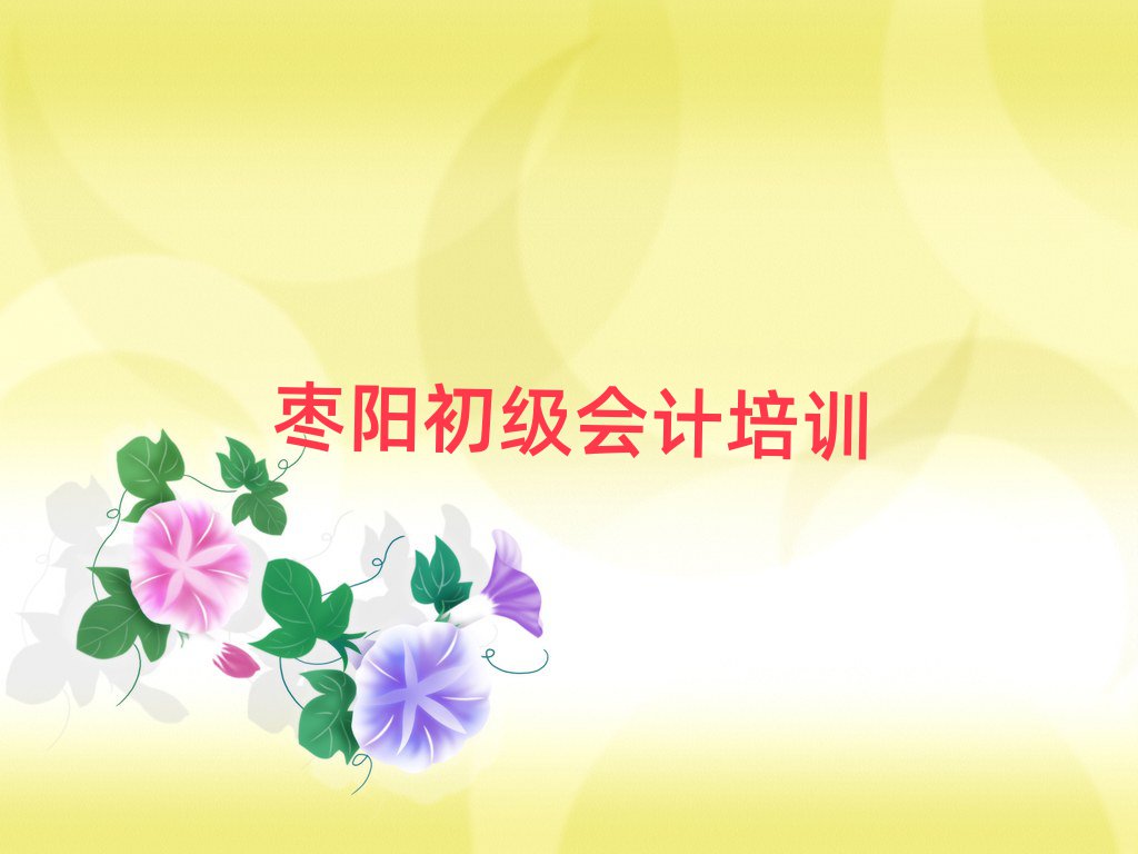 棗陽初級(jí)會(huì)計(jì)培訓(xùn)機(jī)構(gòu)十大排名