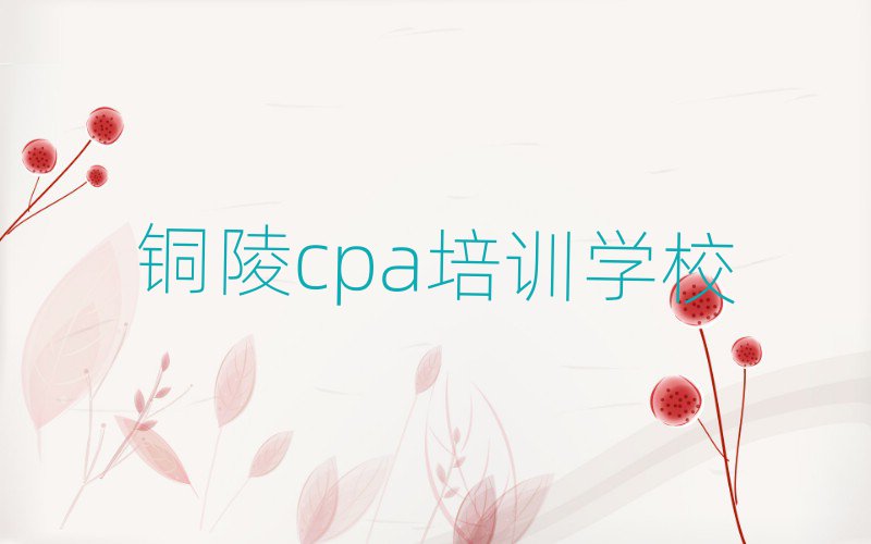 2025年銅陵郊區(qū)學cpa費用需要多少錢
