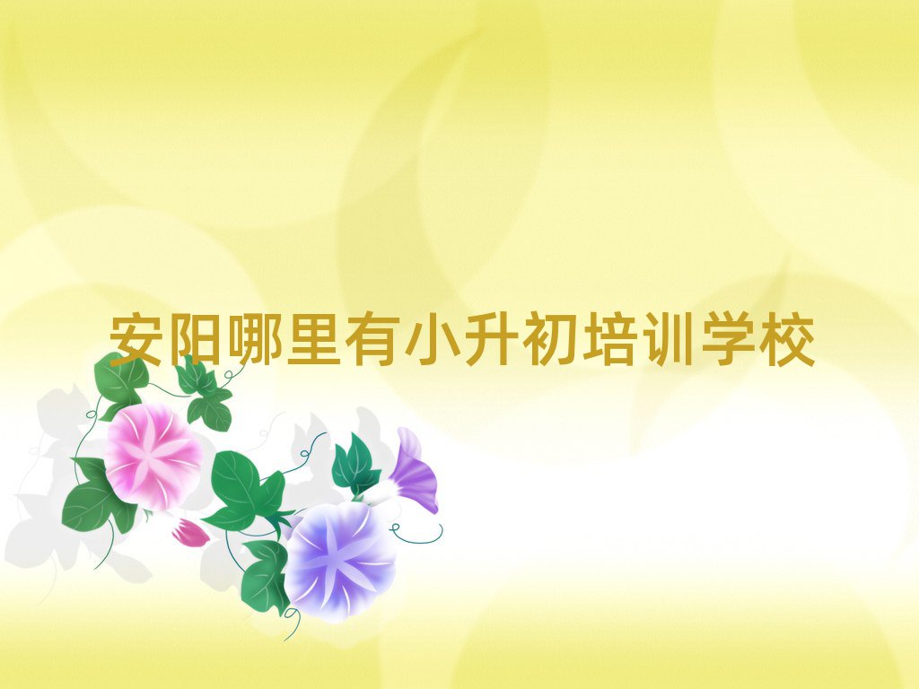 安陽哪里有小升初培訓學校