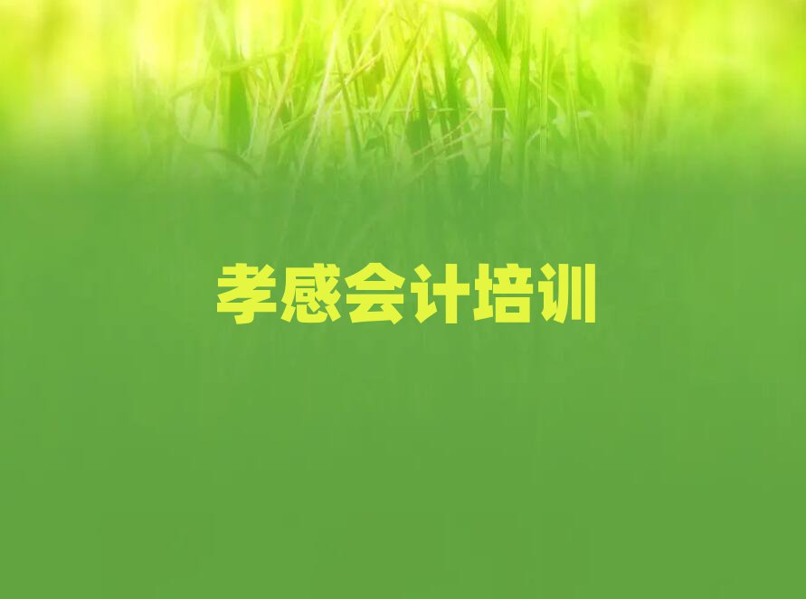 孝感孝南區(qū)會計自學網(wǎng)站十大排名