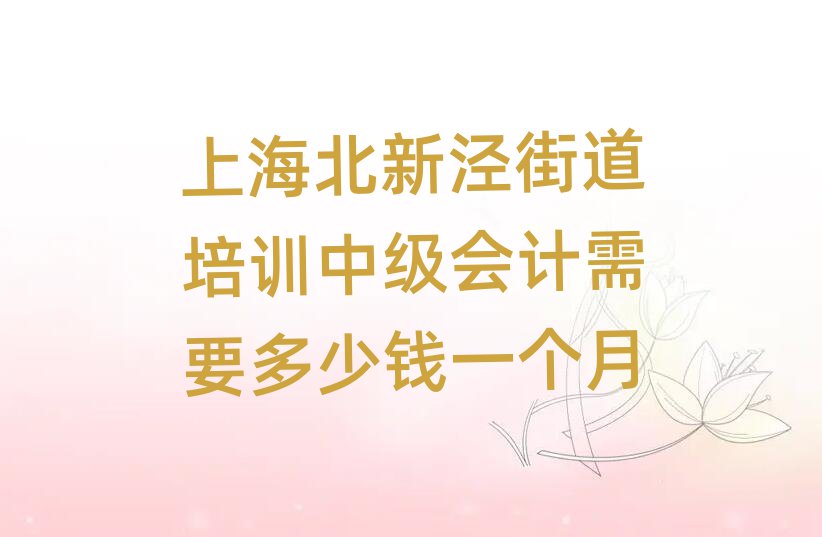上海北新涇街道培訓(xùn)中級(jí)會(huì)計(jì)需要多少錢一個(gè)月