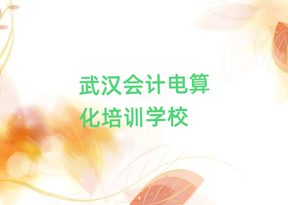 2025年武漢漢南區(qū)專業(yè)會計(jì)電算化培訓(xùn)學(xué)校哪家好點(diǎn)