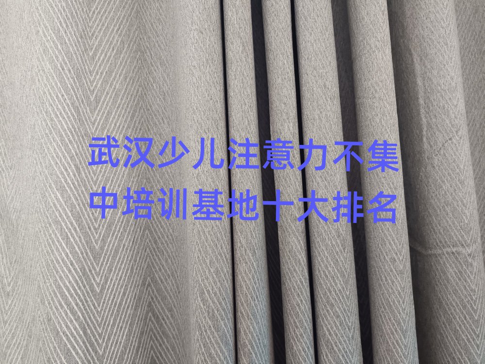 武漢少兒注意力不集中培訓(xùn)基地十大排名
