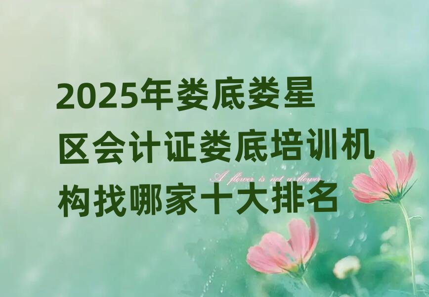 2025年婁底婁星區(qū)會計證婁底培訓機構(gòu)找哪家十大排名