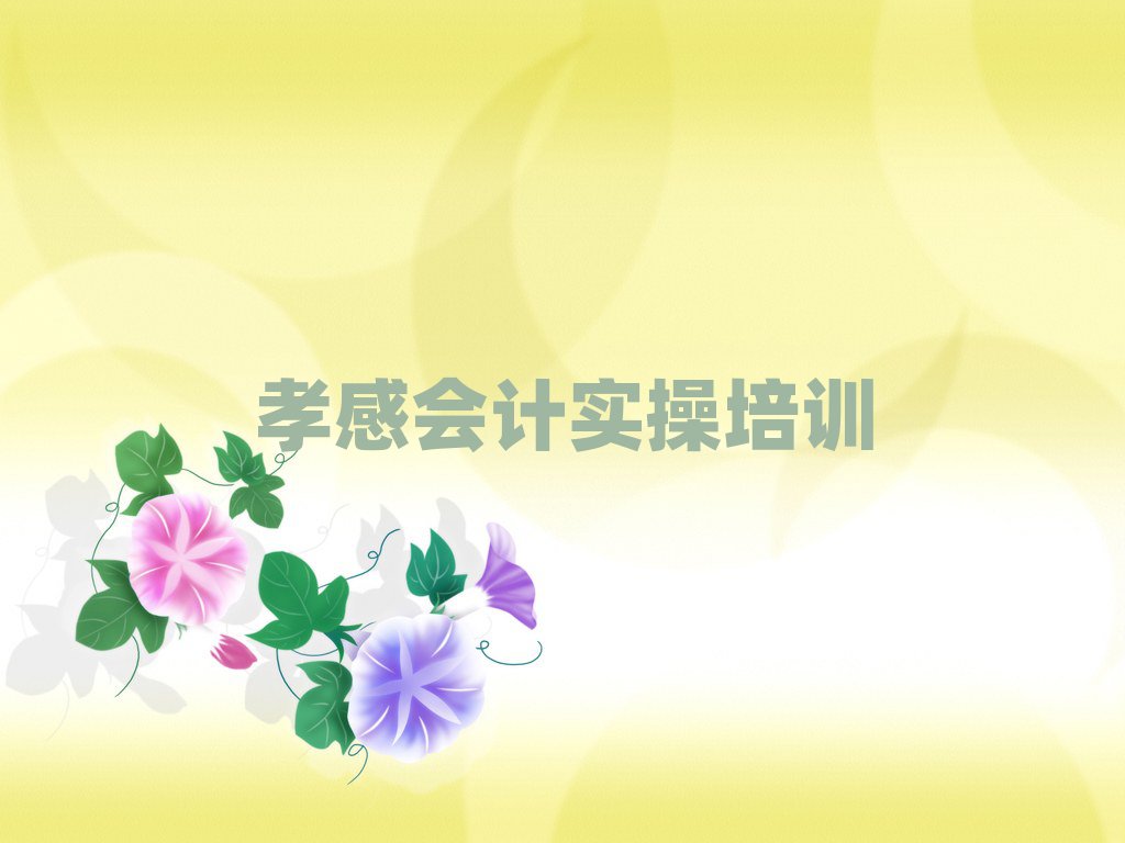 孝感孝南區(qū)西河鎮(zhèn)會(huì)計(jì)做賬培訓(xùn)學(xué)費(fèi)是多少推薦一覽