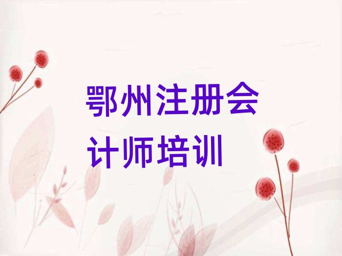鄂州鄂城區(qū)注冊(cè)會(huì)計(jì)師培訓(xùn)班時(shí)間安排表十大排名