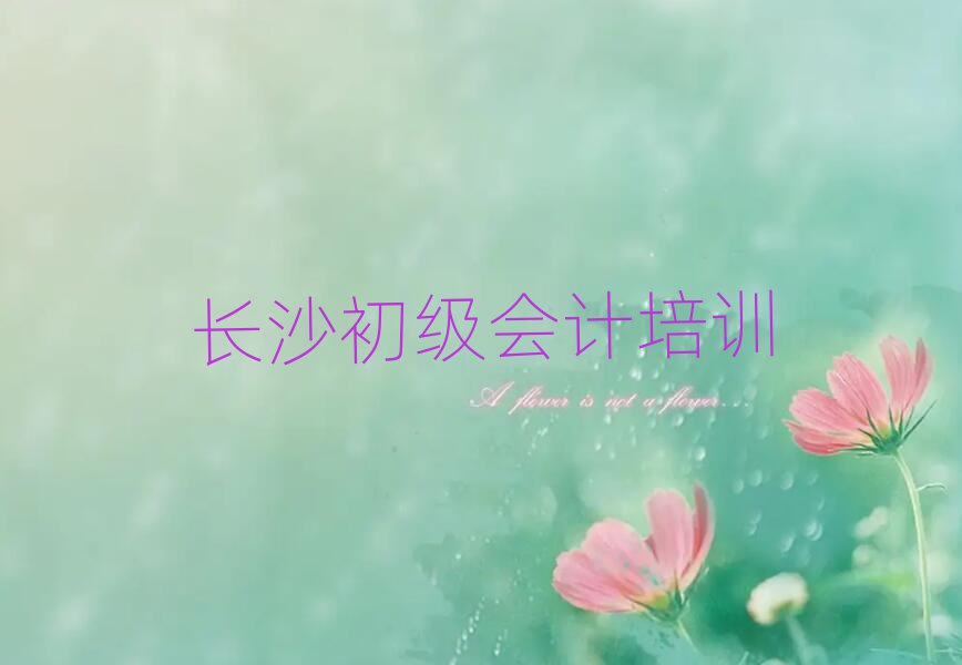 長(zhǎng)沙望城區(qū)培訓(xùn)初級(jí)會(huì)計(jì)學(xué)費(fèi)多少錢一排名前五