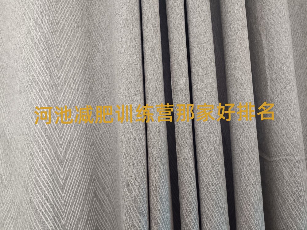 河池減肥訓(xùn)練營那家好排名