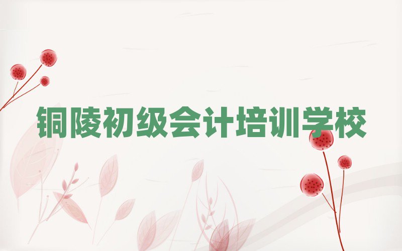 銅陵銅官區(qū)初級(jí)會(huì)計(jì)哪里初級(jí)會(huì)計(jì)培訓(xùn)班劃算一些排名一覽表
