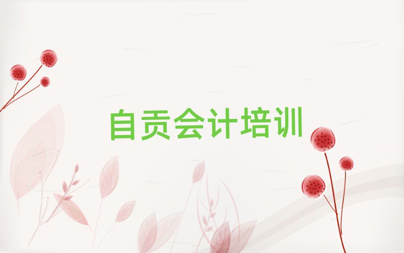 2025年自貢沿灘區(qū)會(huì)計(jì)培訓(xùn)學(xué)校哪家專業(yè)比較好