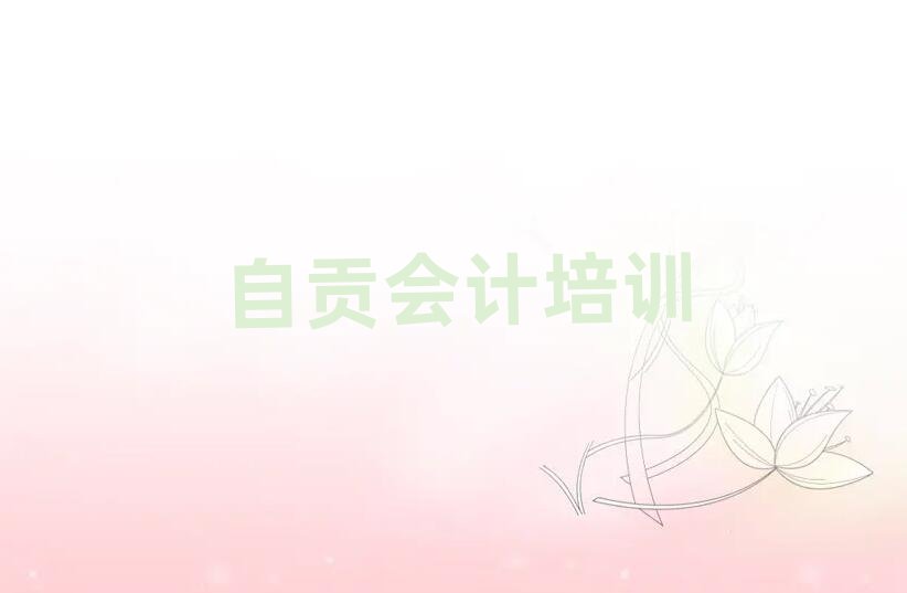 2025年自貢沿灘區(qū)會(huì)計(jì)培訓(xùn)學(xué)校哪家專業(yè)比較好