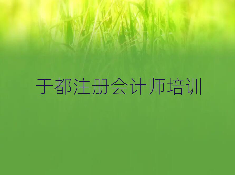 2025年于都哪個學校注冊會計師培訓好