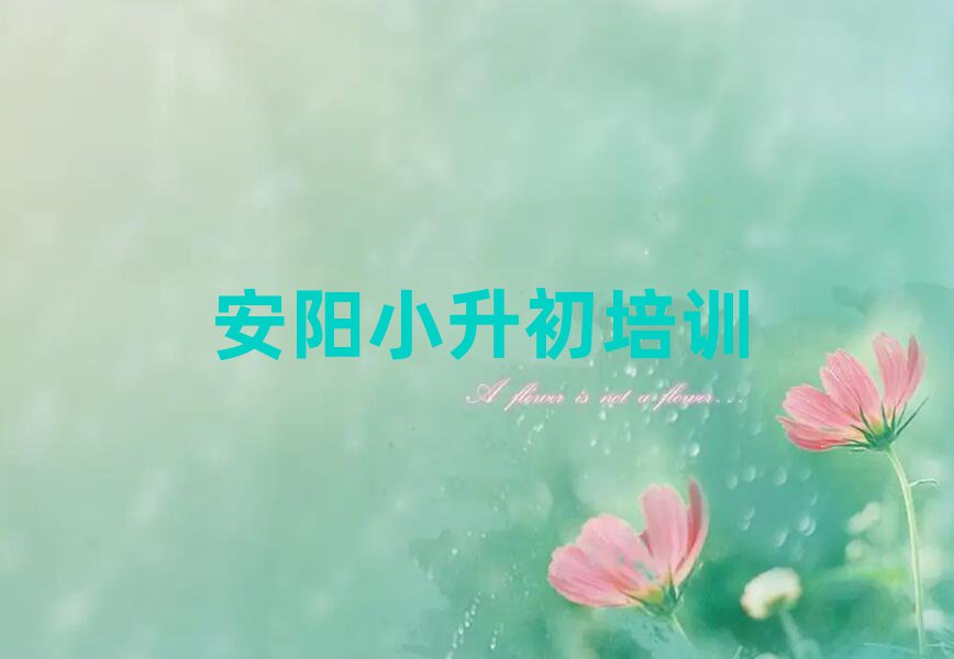 安陽(yáng)北關(guān)區(qū)小升初培訓(xùn)課程都有哪些項(xiàng)目排名一覽表