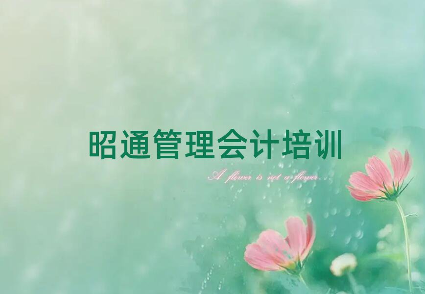 5月昭通昭陽區(qū)管理會計哪里管理會計培訓班劃算又便宜推薦一覽