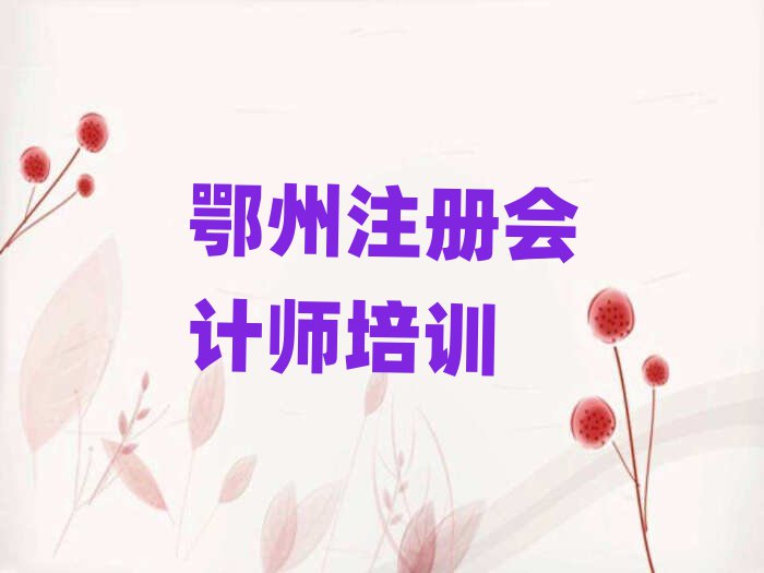 2025鄂州注冊(cè)會(huì)計(jì)師在線培訓(xùn)班排名榜